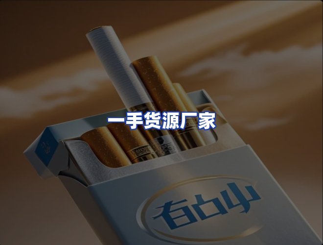 专业团队